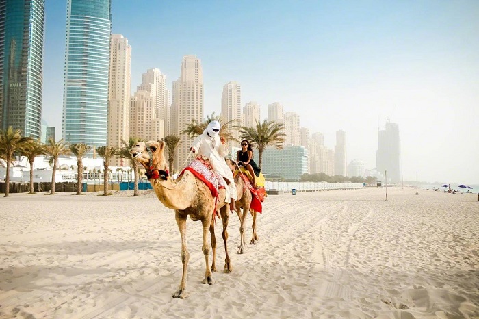 Trải nghiệm cưỡi lạc đà, du lịch Dubai tháng 11