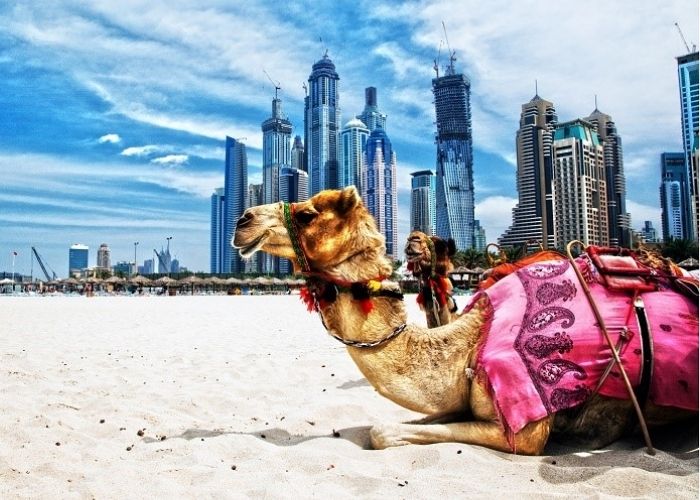 Du lịch Dubai mùa nào đẹp nhất để có trải nghiệm thú vị