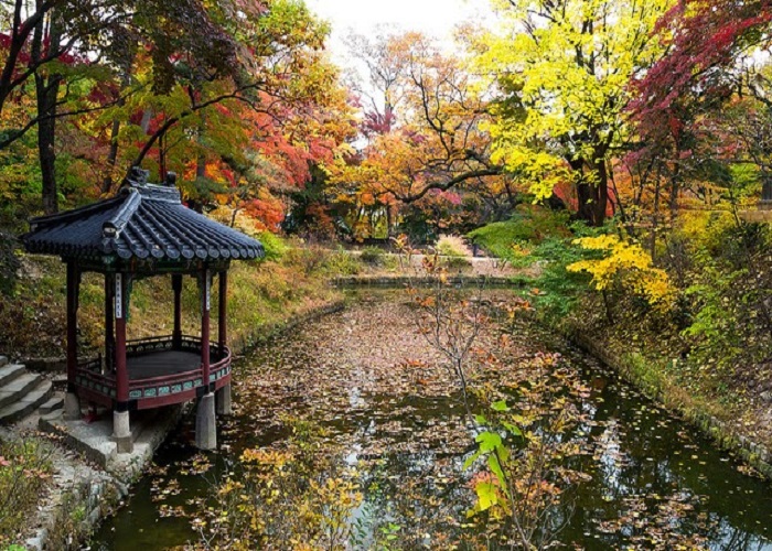 Chia sẻ kinh nghiệm du lịch Hàn Quốc tháng 11 trọn bộ