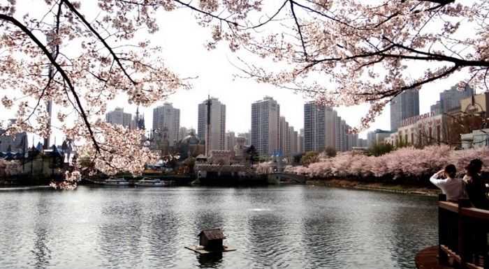Địa điểm du lịch Seoul - Du lịch Seoul xứ sở hoa Anh Đào