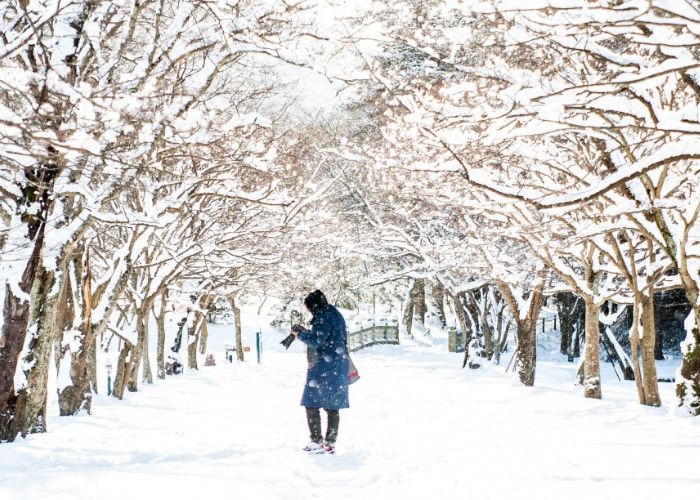 Du lịch Busan mùa Đông có lạnh không?