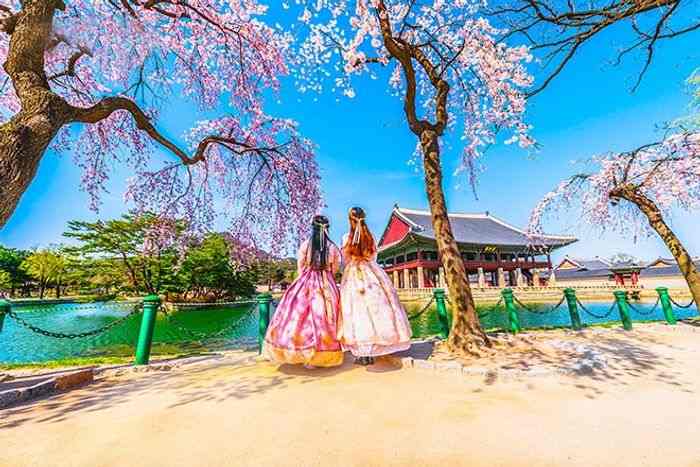 Du lịch hàn quốc mùa xuân - Hoa Anh Đào mang nét đặc trưng mùa xuân xứ Hàn
