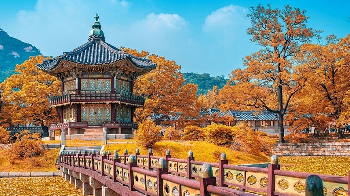 Lịch trình, đi du lịch Hàn Quốc cần những thủ tục gì?