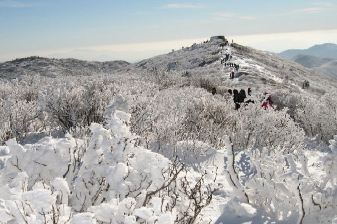 Kinh nghiệm du lịch Hàn Quốc tháng 12 - Núi tuyết Taebaek trắng xóa khi vào mùa tuyết rơi, sẽ rất lạnh đấy