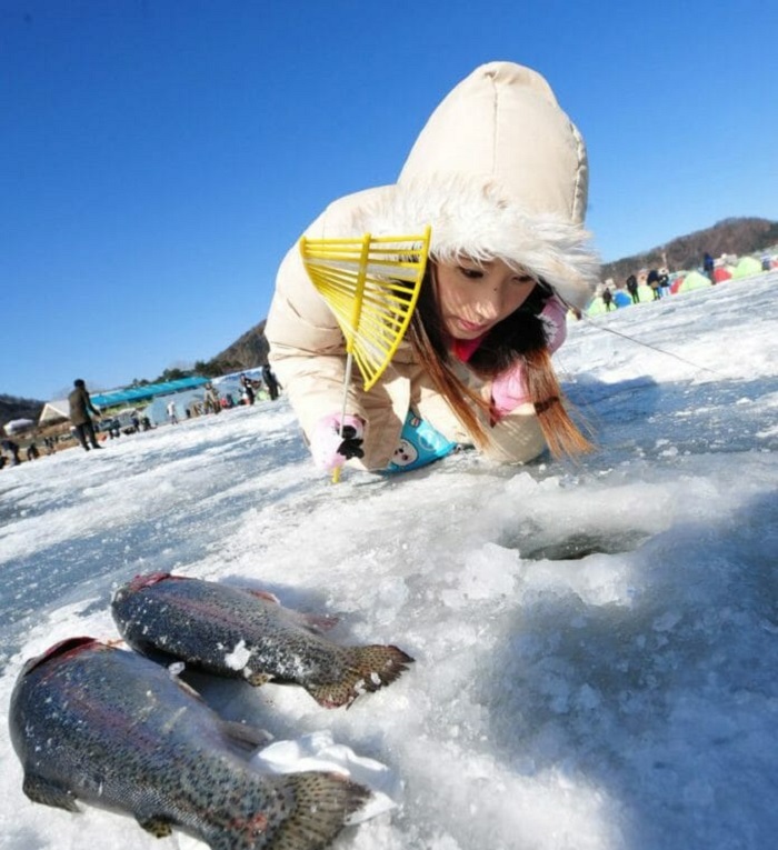 Lễ hội câu cá băng Khi du ngoạn Nước Hàn nhập mùa tuyết rơi