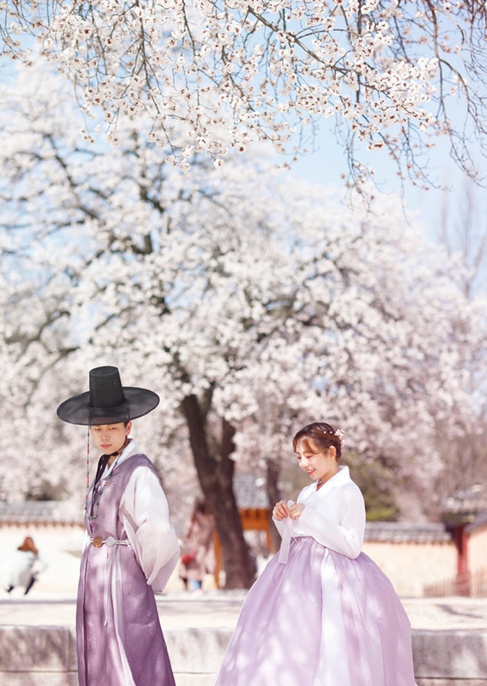 Lưu ý khi du lịch Hàn Quốc mùa xuân