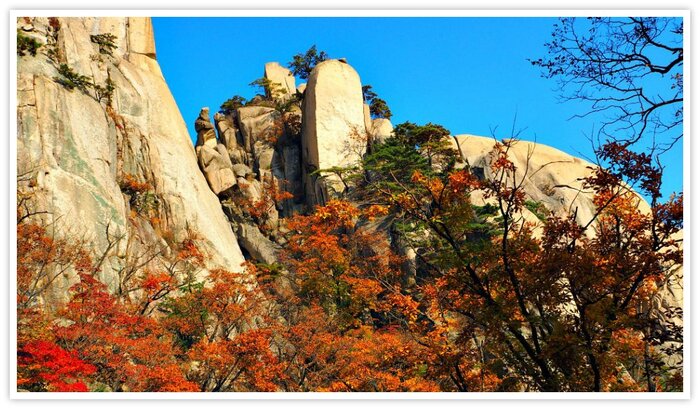 Núi Bukhansan - Cảnh quan mùa thu khi cây rừng thay lá đỏ rực một góc trời