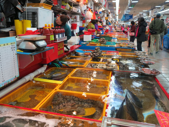 Phố ẩm thực Hàn Quốc - Thực khách có thể mua cá tươi ở chợ rồi mang đến bất kỳ cửa hàng nào ở Millak-dong nhờ họ làm giúp