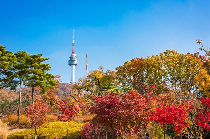 Tháp Namsan Seoul - Tháp Namsan Seoul nhìn từ xa