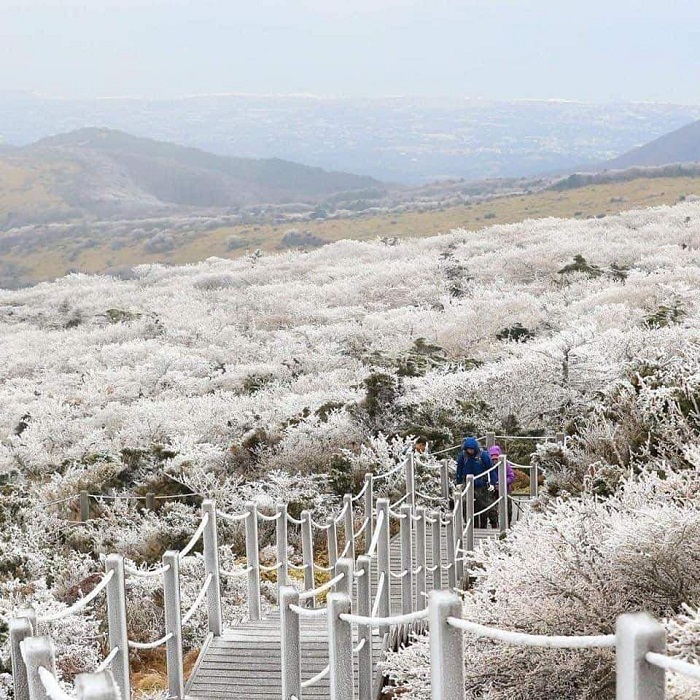 Thời tiết Khi du ngoạn Nước Hàn nhập mùa tuyết rơi