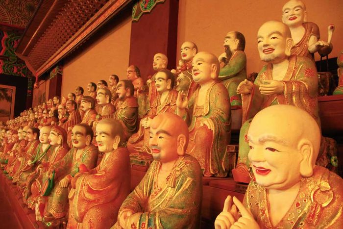 Số lượng tượng ở chùa Dược Tuyền Tự khiến ai cũng phải kinh ngạc khi biết đến.