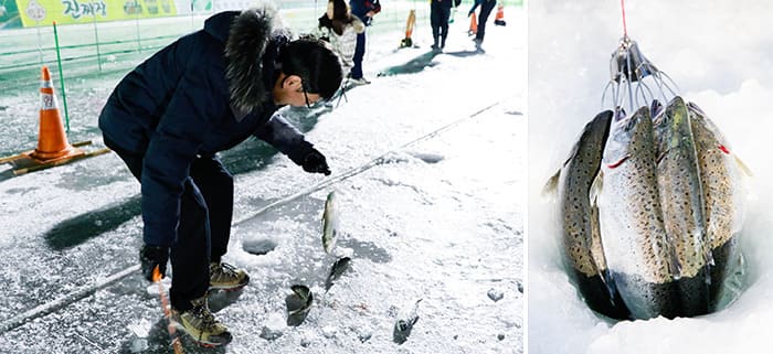 Lễ hội câu cá hồi trên băng - Tạm biệt cái lạnh với hoạt động câu cá hồi trên băng
