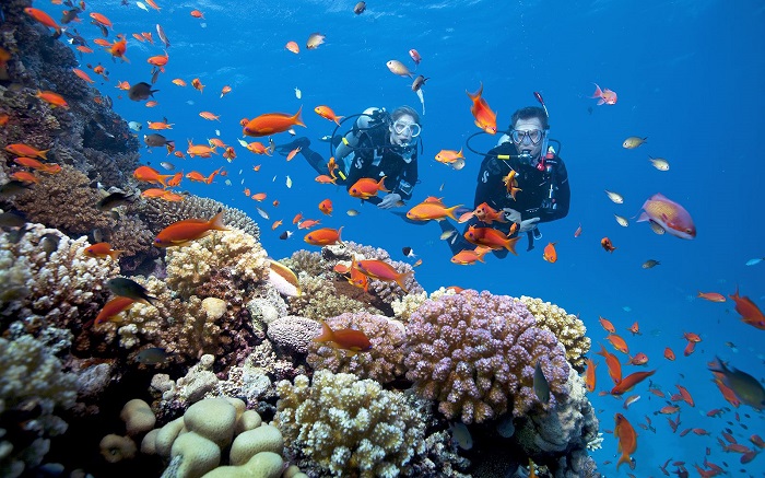 Đảo Belitung - Trồng san hô góp phần bảo vệ hòn đảo xinh đẹp này