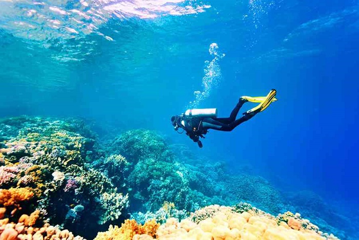 Đảo Kalimantan - Ngắm san hô cực đẹp