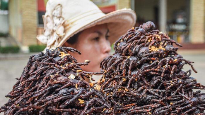 Côn trùng chiên giòn Campuchia - Món nhện chiên giòn bày bán phổ biến ở các chợ