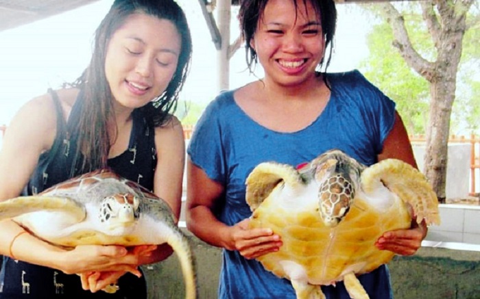 Đảo rùa Bali - Khám phá đảo rùa vào mùa khô và chạm tay vào những chú rùa siêu đáng yêu