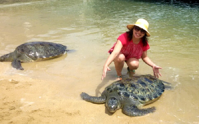 Đảo rùa Bali - Khám phá đảo rùa