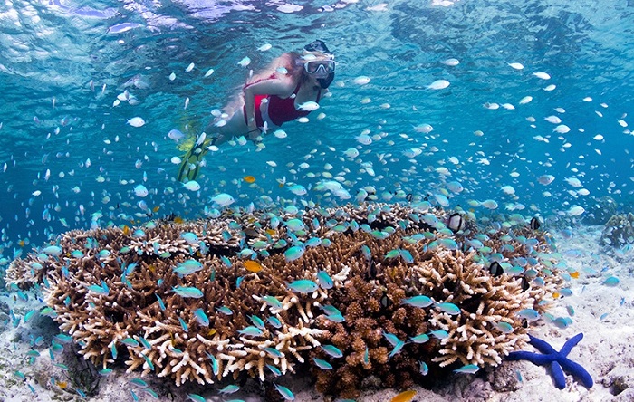 Lặn đảo Wakatobi