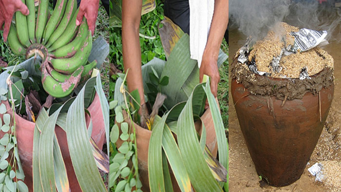 Lễ hội Galungan - Chuối xanh được nấu chín trong nồi bằng đất sét
