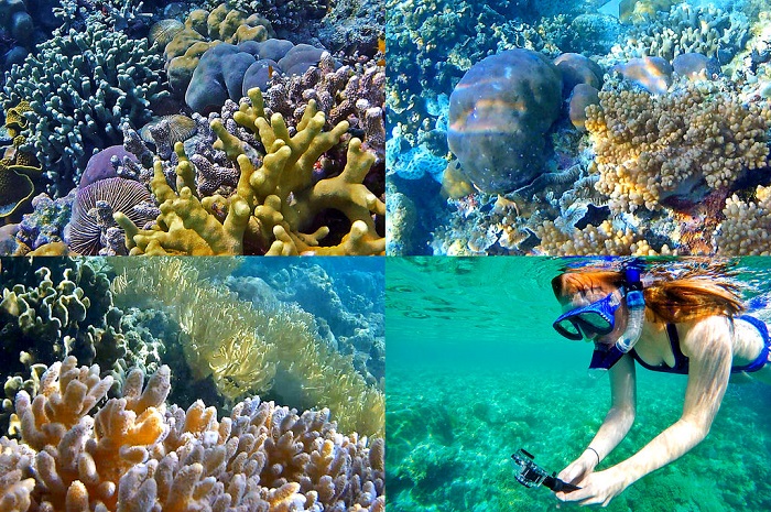 Lặn đảo Wakatobi