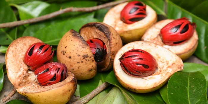 Quả Nutmeg,mua gì ở Penang