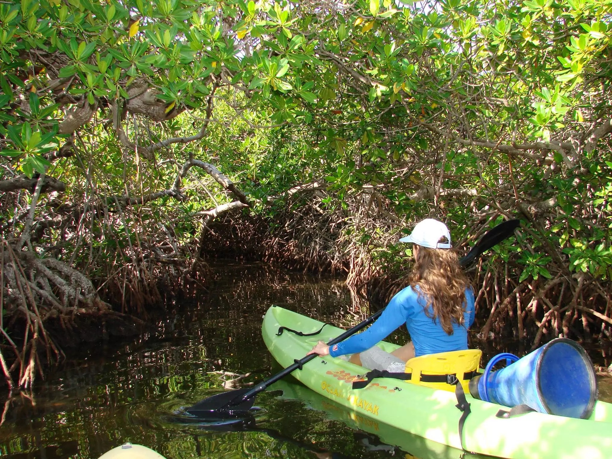 Trên chiếc thuyền Kayak len lỏi vào khu rừng ngập mặn theo Mangrove Tour