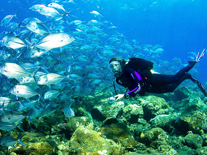 Cảnh đẹp ở Maldives - Cảnh đẹp Khu vực lặn biển Manta Point. 