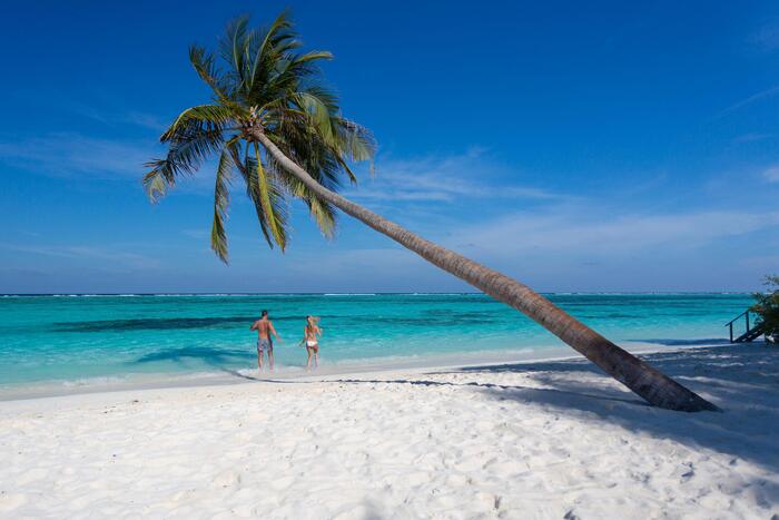 Thiên đường biển đảo Maldives - Nơi có những rặng dừa trải dài bên bờ biển