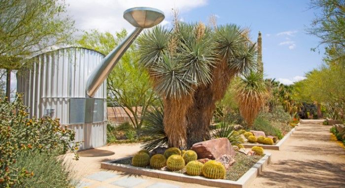  Las Vegas có gì - Công viên Springs Preserve có nhiều loài cây sống nơi sa mạc