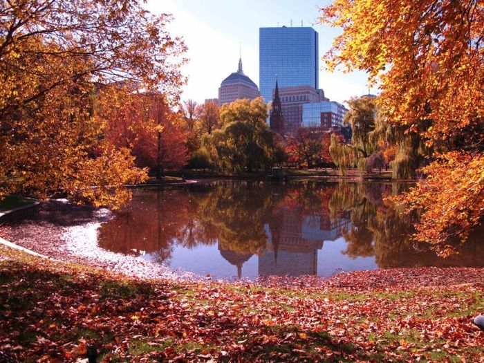 Nên lựa chọn du lịch Boston vào mùa thu hoặc xuân
