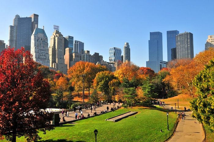  New York có gì đặc biệt- Công viên trung tâm tại New York là một địa điểm thư giãn lý tưởng tại New York
