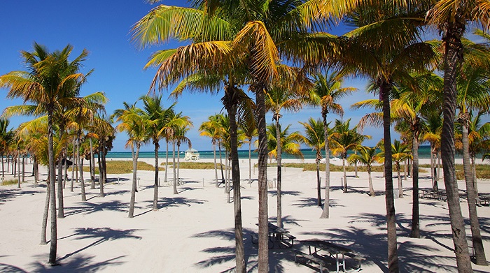 Bãi biển Miami - Bãi biển Crandon Park phù hợp cho chuyến du lịch của gia đình với nhiều hoạt động thú vị khác nhau