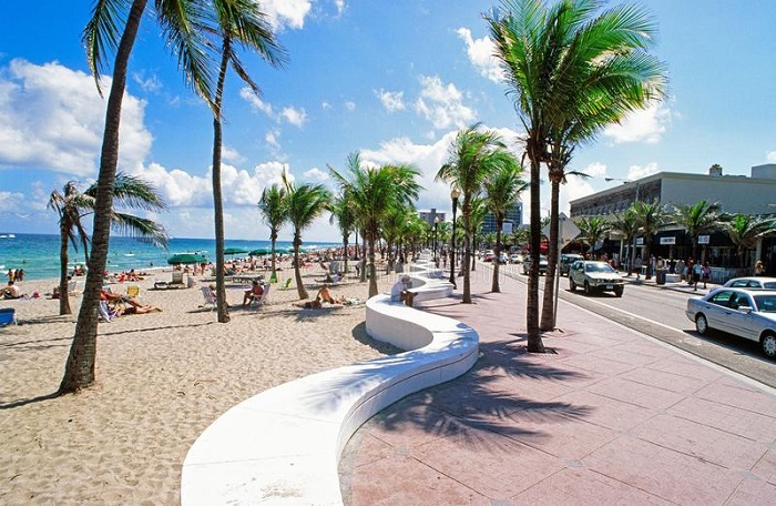 Bãi biển Miami - Biển được bao quanh bởi những rặng dừa cao.