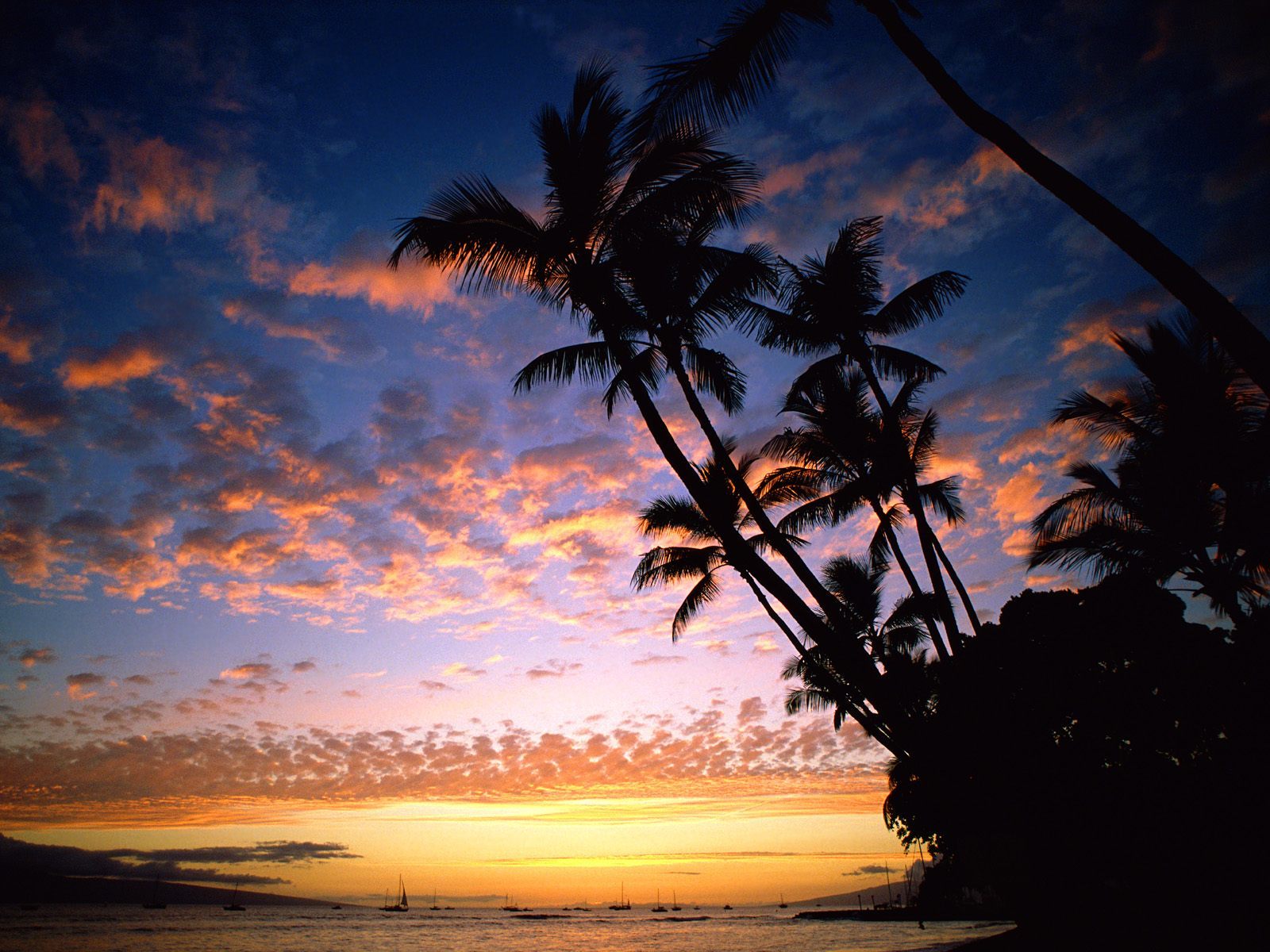 Bãi biển Hawaii - Hoàng hôn màu với màu sắc sặc sỡ ở Hawaii.