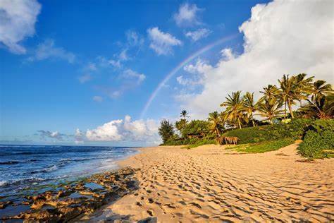 Bãi biển Hawaii - Bãi biển Lanikai được đặc trưng bởi cát trắng đá cuội