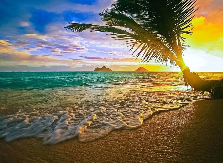 Bãi biển Hawaii - Đây cũng là một nơi ngắm hoàng hôn tuyệt đẹp ở Hawaii. 