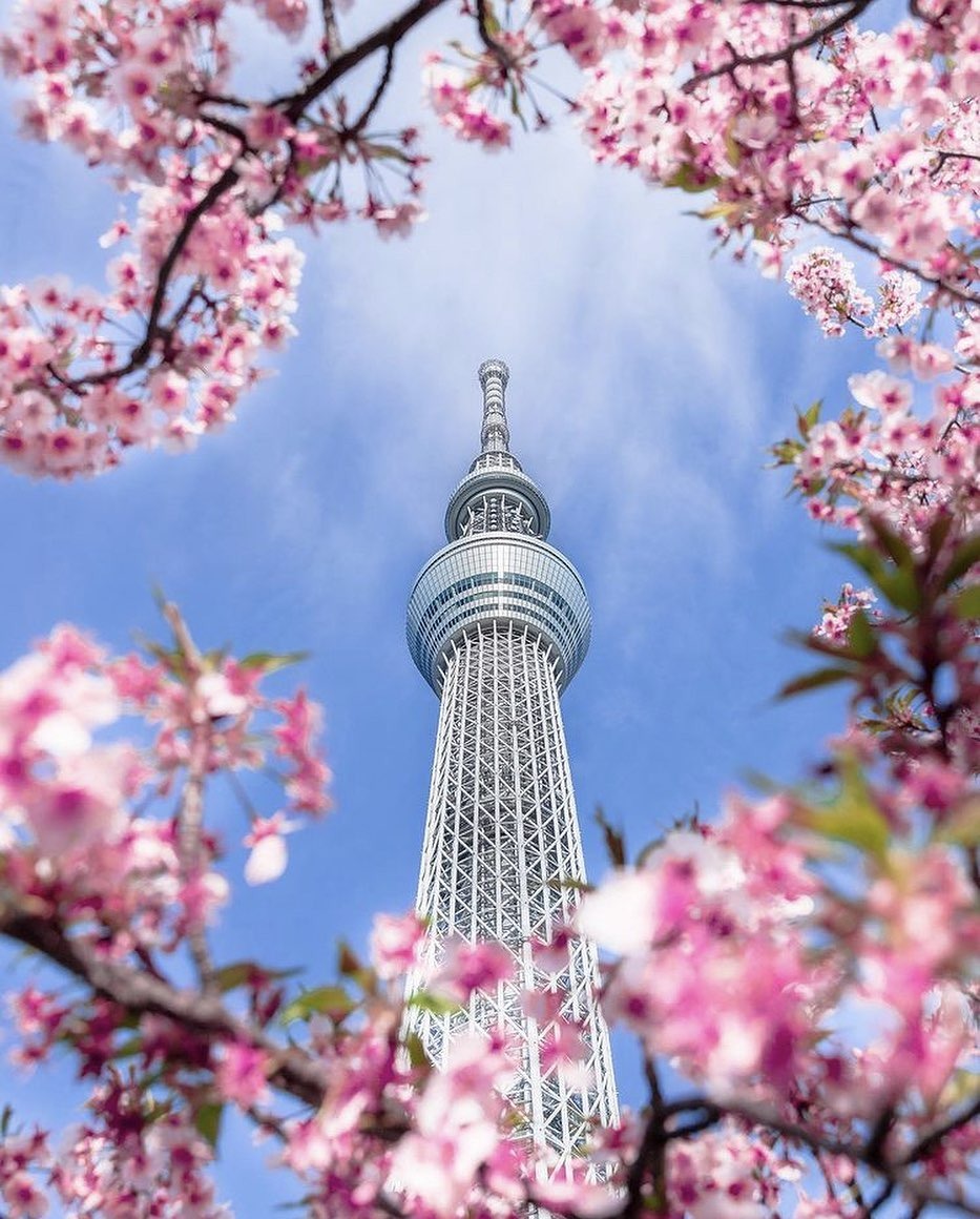 Tháp Tokyo Skytree là một trong những địa điểm nổi tiếng tại Tokyo