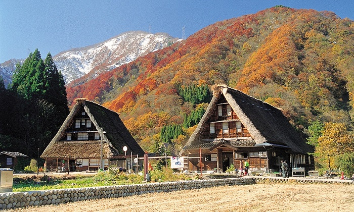 Kinh nghiệm du lịch Nhật Bản tháng 2 - Gokayama