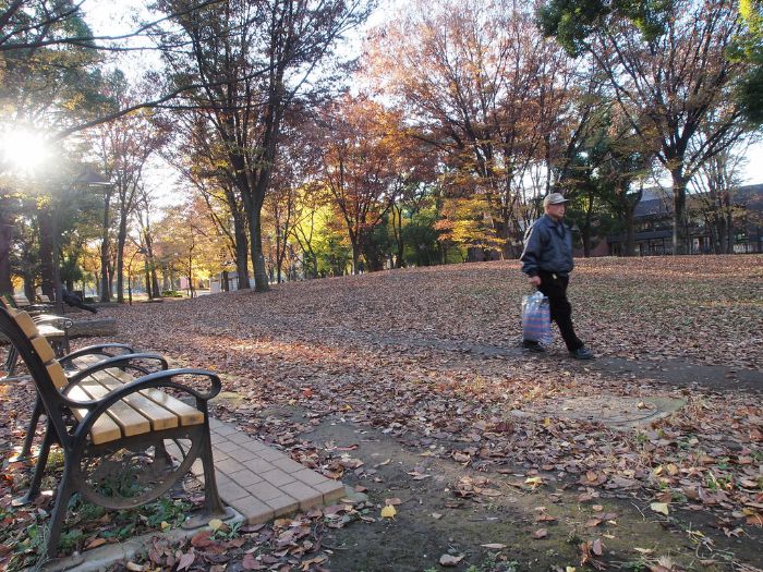 Công viên Ueno - Một góc công viên mùa lá rụng