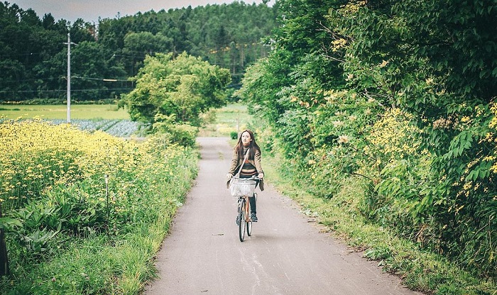 Du lịch Hokkaido - mùa hè 