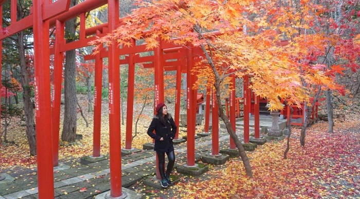 Du lịch Hokkaido - Du lịch Hokkaido mùa thu