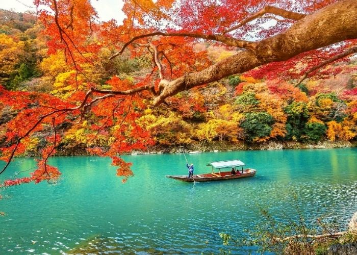 Du lịch Nhật Bản tháng 10 có gì đẹp - Ngăm lá vàng rơi và bạn sẽ thấy tâm hồn mình thật thư thái