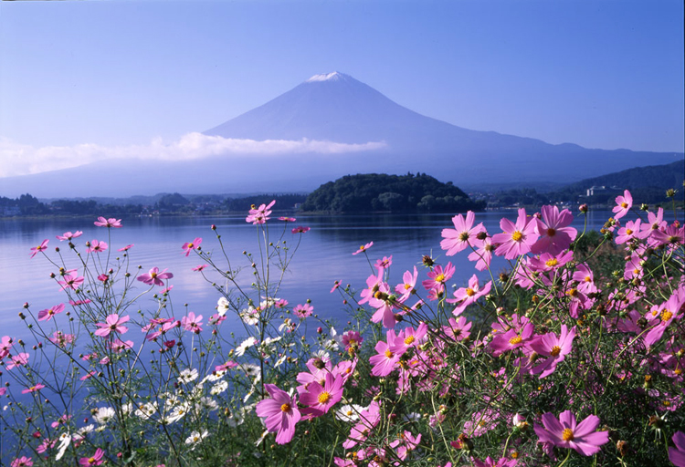 Cảnh sắc mùa hè tại khu du lịch núi Phú Sĩ tuyệt đẹp