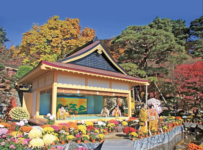 Kinh nghiệm du lịch Nhật Bản tháng 11 - Lễ hội hoa cúc
