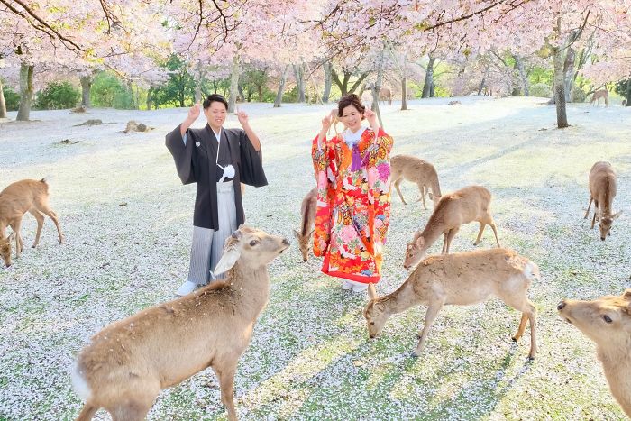 Kinh nghiệm du lịch Nhật Bản tháng 3 - Công viên Nara