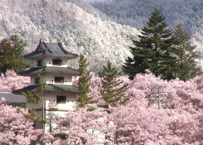 Kinh nghiệm du lịch Nhật Bản tháng 3 - Đỉnh núi Yoshinoyama