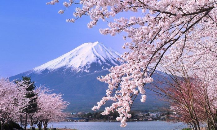 Kinh nghiệm du lịch Nhật Bản tháng 3 - Thời tiết ở Nhật Bản tháng 3  - Kinh nghiệm du lịch Nhật Bản tháng 3.
