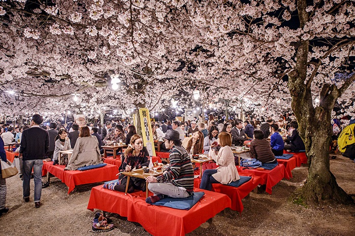 Kinh nghiệm du lịch Nhật Bản mùa hoa anh đào -Trò chuyện ăn uống vui vẻ dưới tán cây hoa anh đào