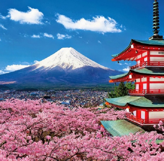 Kinh nghiệm du lịch Nhật Bản mùa hoa anh đào - Hoa anh đào là loài hoa giúp Nhật Bản thu hút hàng triệu khách du lịch mỗi năm