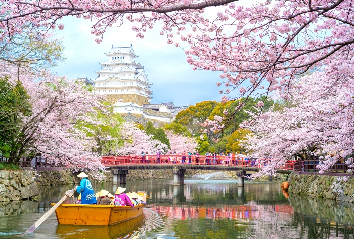 Kinh nghiệm du lịch Nhật Bản mùa hoa anh đào - Hoa anh đào nở rộ dọc các con sông